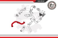 Пабтрубок  труба turbo интеркулер renault scenic 1.9 dci Цена, фото thumb