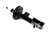 фото thumb №1, Nipparts n5508009g амортизатор