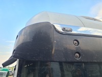 фото thumb №2, Накладка захист сонцезахисна renault magnum dxi lift оригінал