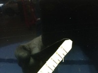 фото thumb №10, Bmw 1 e87 двері перед ліва black sapphire металік 475