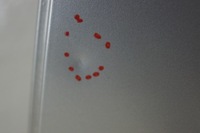 фото thumb №7, Дверь левый задняя suzuki swift mk6 zcc