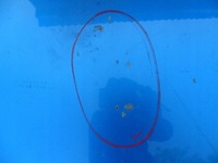 фото thumb №10, Toyota rav4 xa20 2001- капот