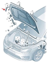 фото thumb №1, Прокладка капот сторона правая перед vw golf sportsvan