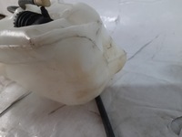 фото thumb №8, Jeep compass 17- бак омивача 55112669aa usa