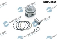 фото thumb №1, Dr.motor drm21606 поршень