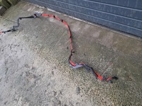 фото thumb №5, Bmw 1 f20 f21 f22 f23 lift 18r. шланг джгут плюсова акумулятор