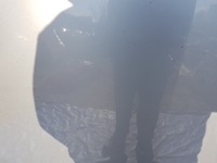 фото thumb №8, Капот mercedes r-klasa w251 c775 775