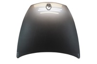 фото thumb №1, Капот кришка renault laguna iii coupe tekng