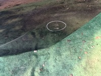 фото thumb №3, Opel insignia b дверь левая задние задняя