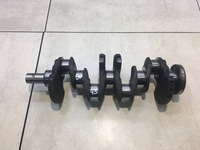 фото thumb №1, Wał коленчатый citroen berlingo 1.4 kfw