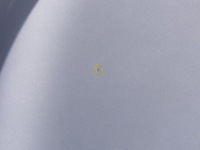 фото thumb №9, Капот кришка двигуна оригінал lak tekng renault megane iii 09-13r.