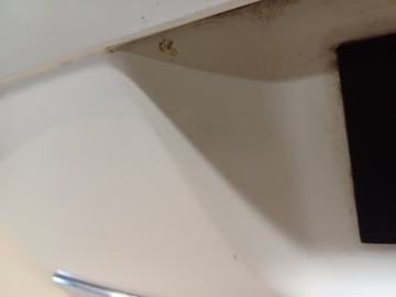 фото thumb №13, Крышка багажника vw passat b6 цвет lb9a