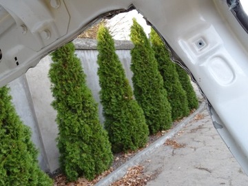 фото thumb №5, Iveco eurocargo iii 08-15 обшивка левая bok четверть