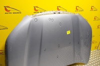 Subaru forester sk 2018 2019- капот перед кришка Зі Шроту, фото thumb