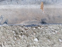 фото thumb №11, Бампер задняя задний renault kangoo ii 2 08-13