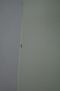 фото thumb №7, Дверь левый перед vw golf vi cabrio lc9a