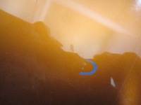 фото thumb №9, Peugeot 2008 ii кришка багажника задня kls камера заднього виду