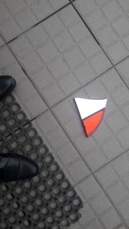 фото thumb №1, Відбивач кришки правий aixam gamme vision crossover