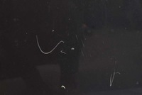 фото thumb №6, Капот крышка двигателя 2z hyundai santa fe 2 ii 06-10