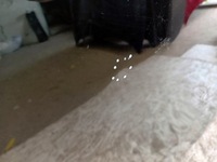 фото thumb №6, Капот крышка двигателя bmw x1 u11 22-