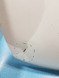 фото thumb №4, Ford transit mk5 капот передня 00-06