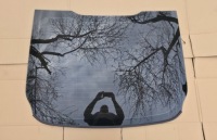 Купить Стекло задняя задний  as2 ford mondeo mk5 sedan 2016r, фото thumb