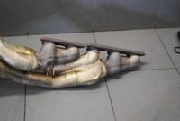 фото thumb №10, Катализатор правые audi s8 d3 5.2 fsi 4f0131701de