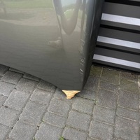 фото thumb №5, Lexus nx капот крышка двигателя