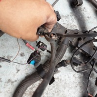 Купити Джгут двигуна bmw e87 n47d20c 2012r 850779604 850779504, фото thumb