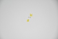 фото thumb №6, Капот кришка двигуна opel insignia a