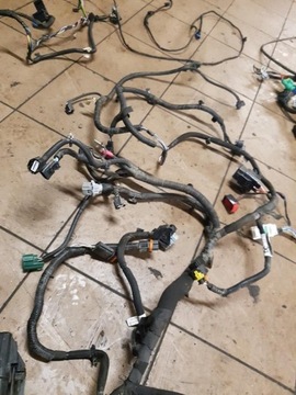 фото thumb №10, Жгут установка электрик renault kangoo