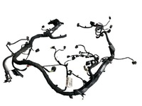 фото thumb №1, Fiesta mk8 1.0 ecoboost жгут двигателя