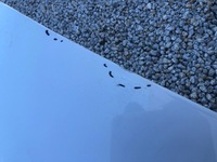 фото thumb №9, Крыло перед переднее левый audi a6 c7 4g 4g0 11-18