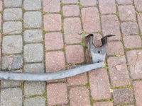 фото thumb №9, Mazda 6 gh перед балка бампера передний нижняя