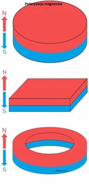 100x magnes neodymowy walcowy 1x2 magnesy neodym