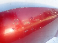 фото thumb №5, Renault kangoo ii 2 08-13 капот кришка двигуна