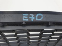 фото thumb №9, Bmw e70 решітка бампера 8047339