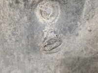 фото thumb №3, Bmw f30 защита плита pod двигатель 2.0d