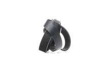 фото thumb №13, Ridex 305p0344 ремень клиновой многоручьевой do nissan pathfinder iii r51