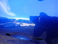 фото thumb №9, Двері ліві задні лівий зад mitsubishi asx vsx 2023- mq003435