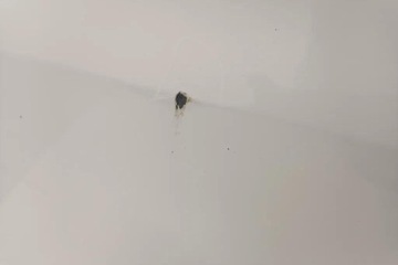 фото thumb №11, Бампер задній audi a6 4a, c4 4g5807511 3.0l дизель 2011