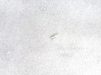 фото thumb №9, Обивка крышки багажника lexus is iii 200t 300 po lift 2018 europa