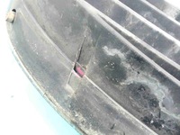 фото thumb №6, Решітка решітка радіатора tata indigo marina