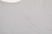 фото thumb №8, Двері праві перед передні білий renault kangoo 2 ii 07-13