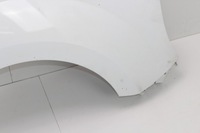 фото thumb №6, Крыло правый перед renault kangoo ii 07-13r 369