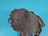 фото thumb №6, Підкрилок задня ліва toyota auris ii 130th