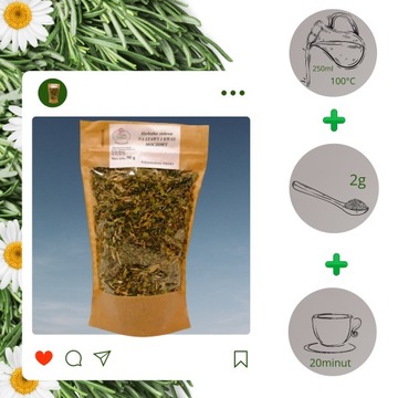 ТРАВЫ ДЛЯ СУСТАВОВ И МОЧЕВОЙ КИСЛОТЫ ДНК URICAL PAIN 90г