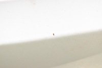 фото thumb №8, Бампер задня задній pbcw pdc tesla model s performance 12-20