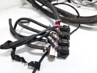 фото thumb №15, Электропроводка газовая lpg stag 200 gofast 4-cyl блок управления 67r-017009 kpl