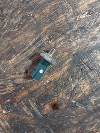 фото thumb №5, Датчик давления масла seat leon iii 1.2tsi cyv 036919081c